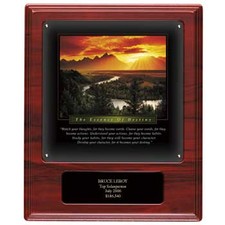 RSWD SHIELD IND DESTINY                           